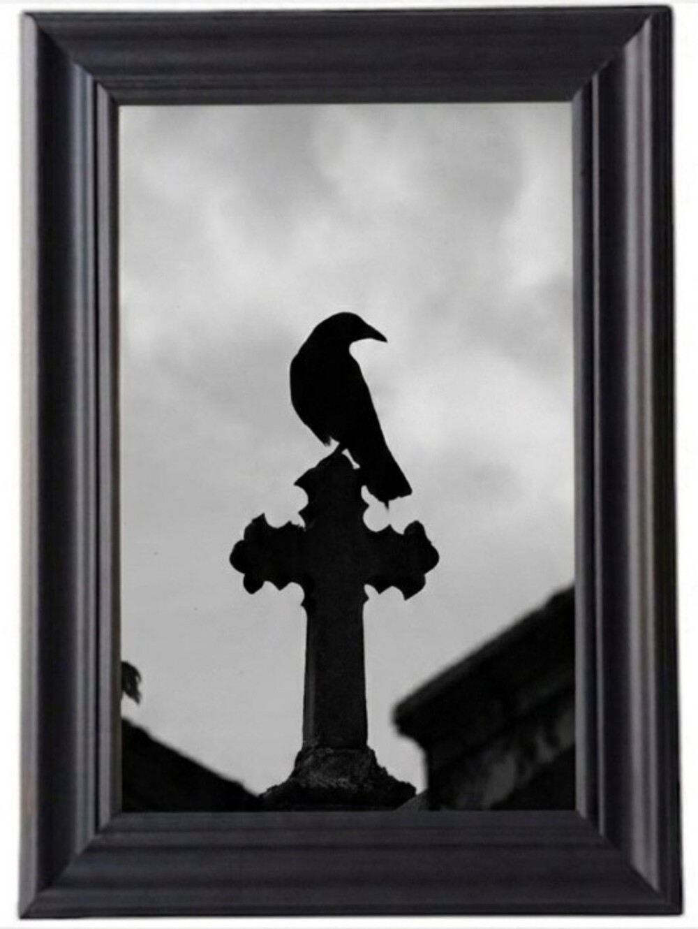 Black raven beautiful On Cross frame photo print  gothic punk rock  Goth Oddy